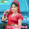 About Teri Juvani Jhkola Song
